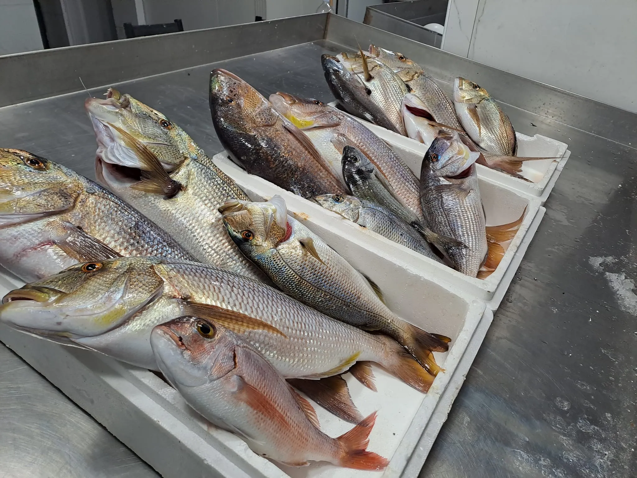 Wide variety of premium seafood products available at Skiathos Fish Market